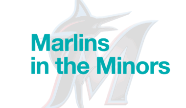 Marlins in the Minors Recap: 8/19/2025 - Forever, Marlins