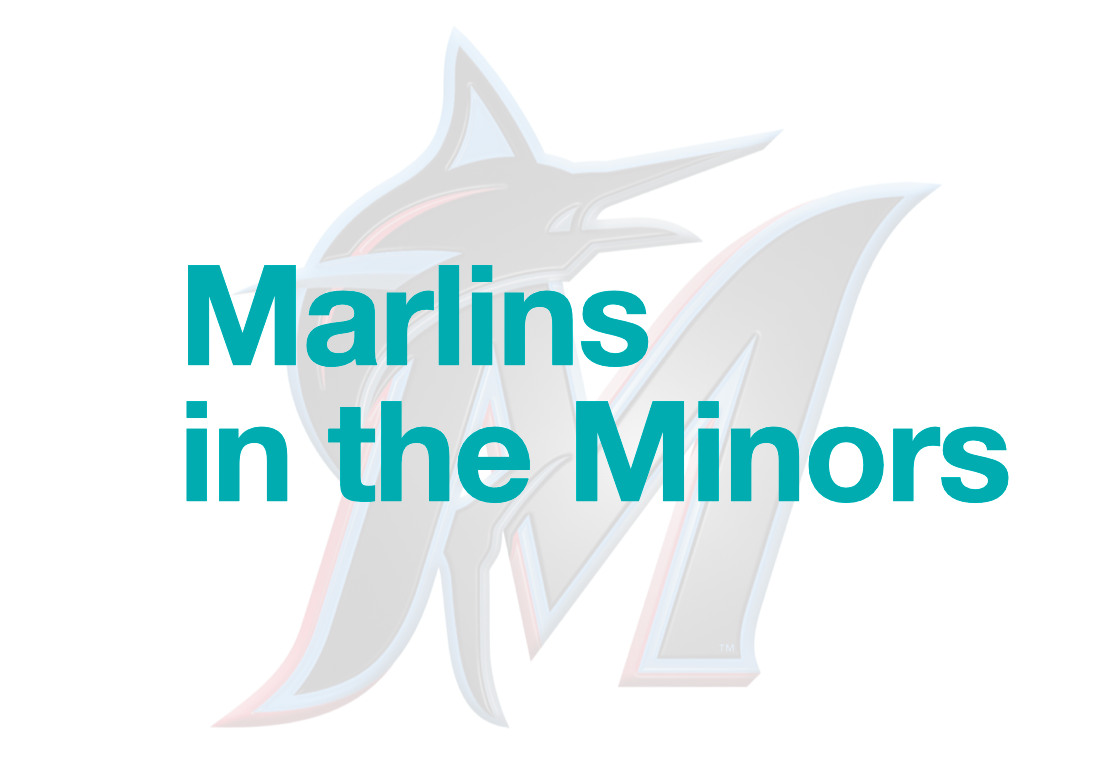 Marlins in the Minors Recap: 8/19/2025 - Forever, Marlins