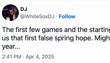 Chicago White Sox Scores & Standings: Jonathan Cannon struggled, but poor defense and hits put the nail in the coffin for the White Sox