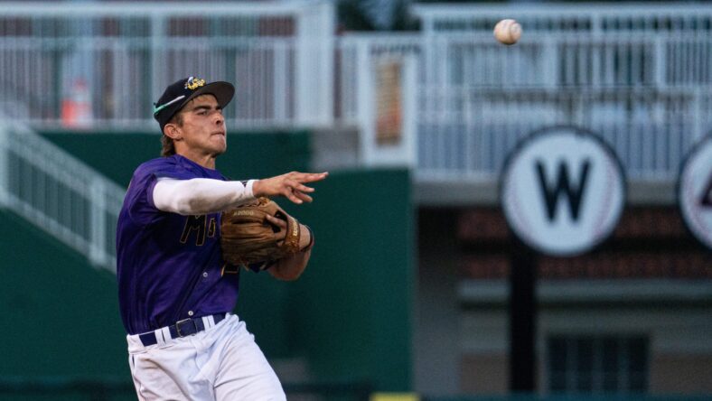 Marek Houston, Minnesota Twins