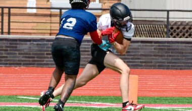 Junior-led Cardinals prepare to ignite offense – Morning Journal