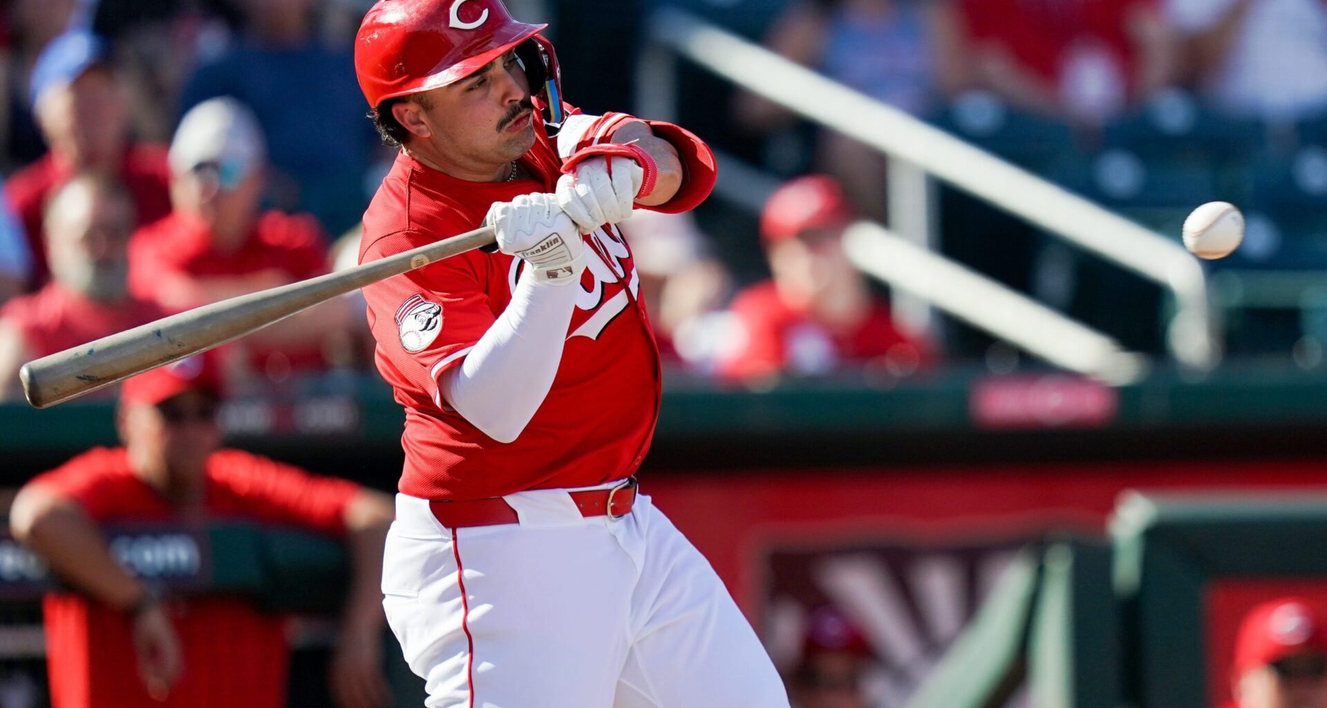Reds Should Call-Up Sal Stewart