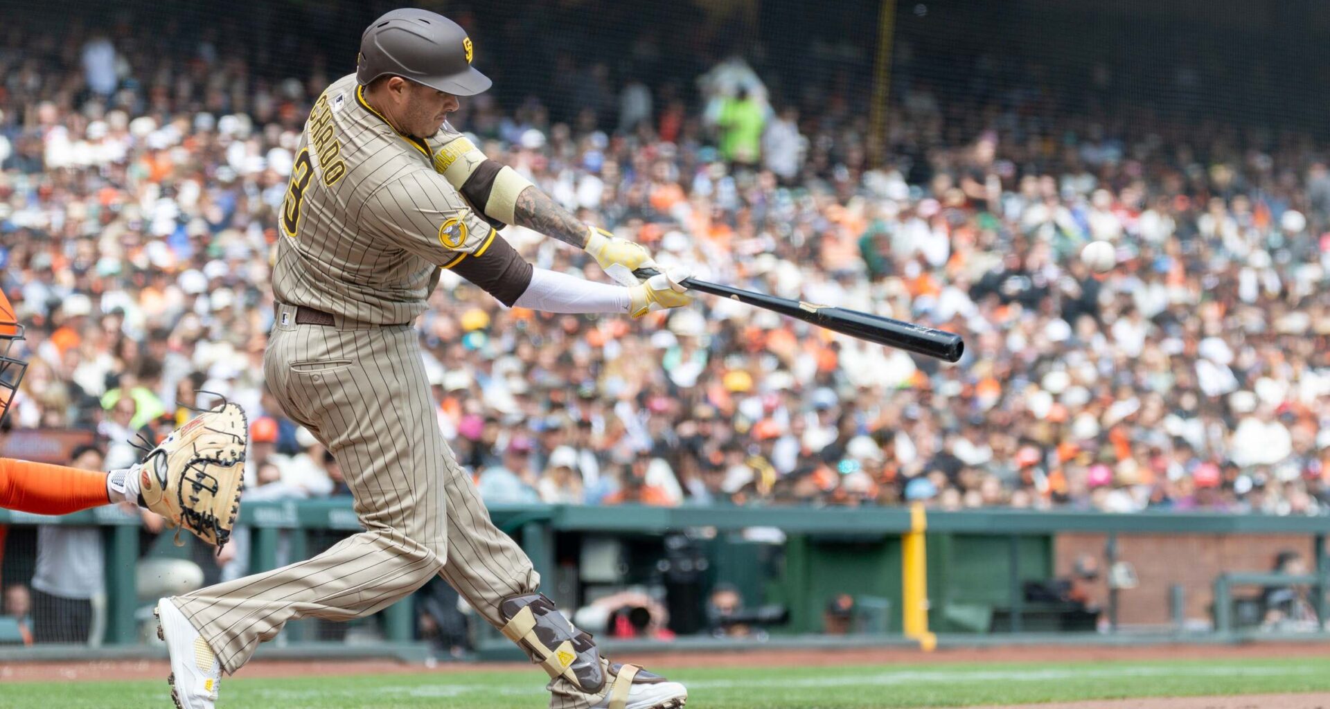 Top Picks for Friday 8/15/25