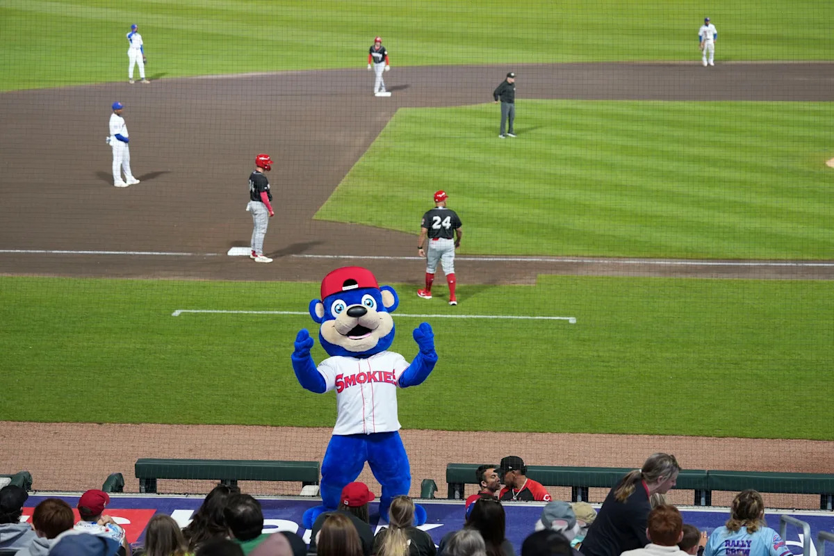 Download app from appStore