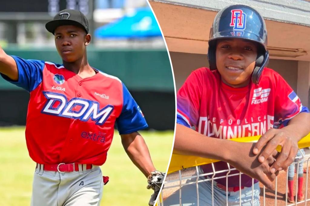 Baseball prospect Gustavo Talmare, 14, dead after drowning