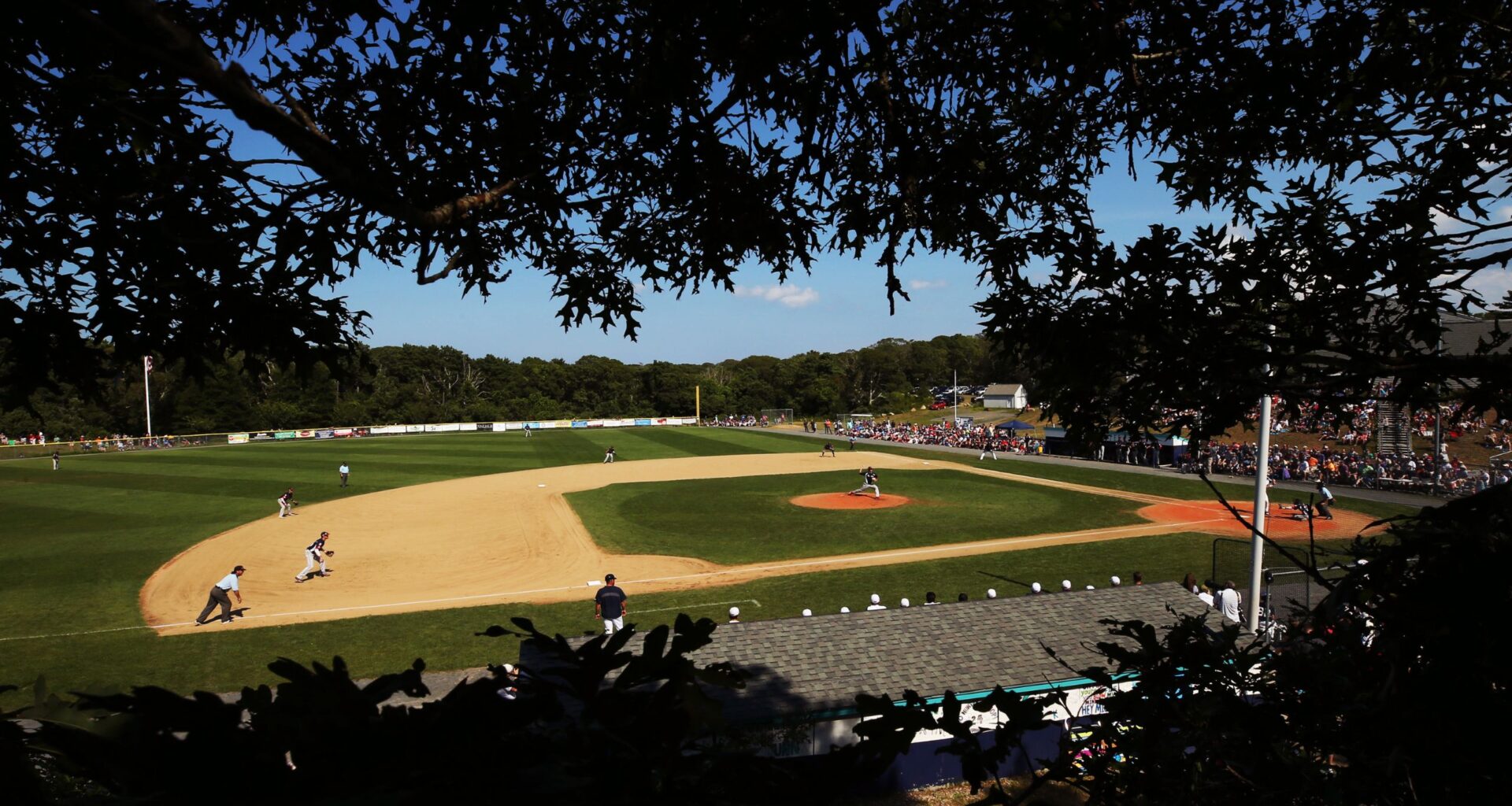 Inside Summer Ball’s Fight For Survival In The College Baseball Transfer Portal Era