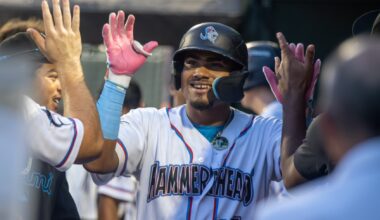 If he fixes his swing, Esmil Valencia could become one of Marlins' top prospects - Fish on the Farm