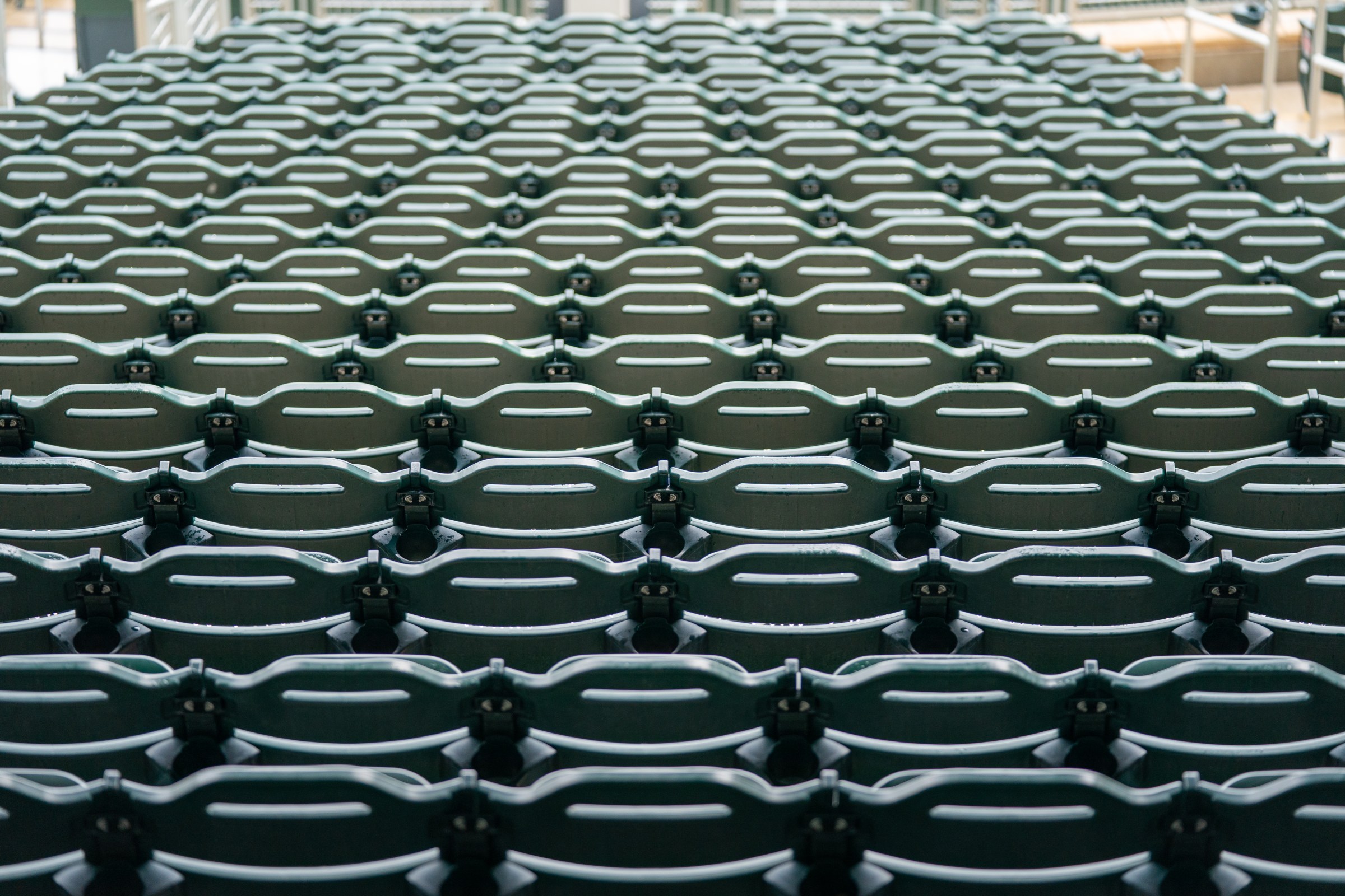 A lot of open pasture