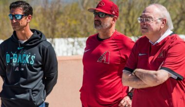 Diamondbacks Reacts Survey: Who’s to blame?