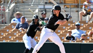 White Sox Minor League Update: August 9, 2025