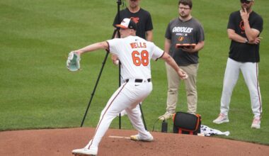 Orioles minors: Tyler Wells rehabs with mixed results