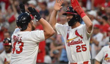 The Viva El Birdos Podcast: Episode 33 Interview with Brian Walton