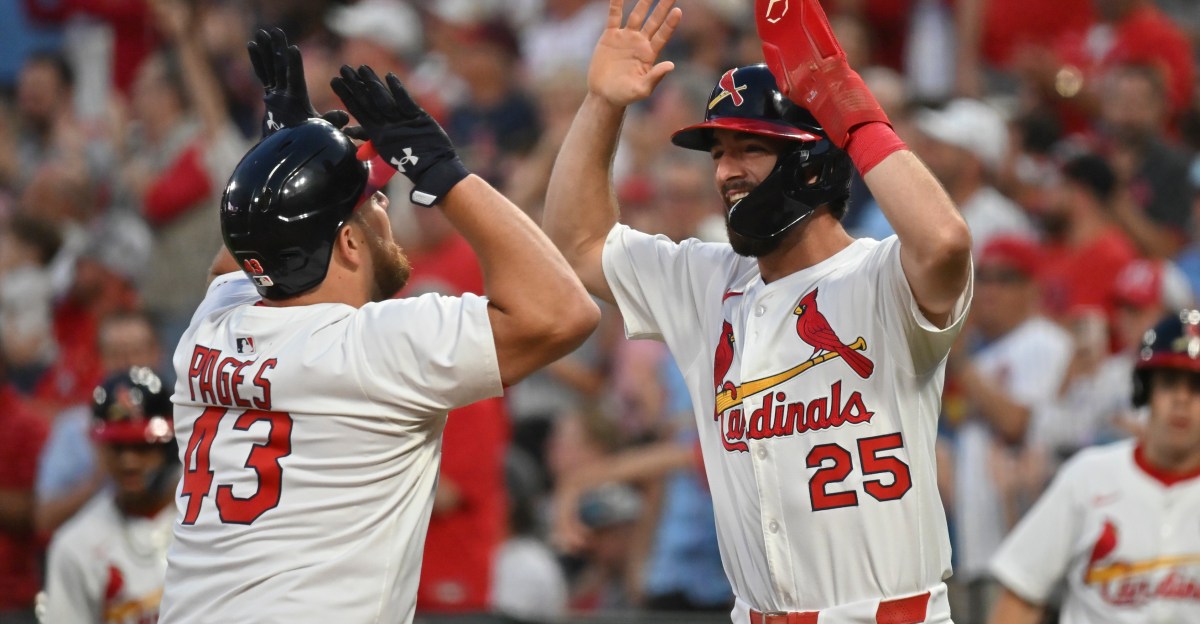 The Viva El Birdos Podcast: Episode 33 Interview with Brian Walton