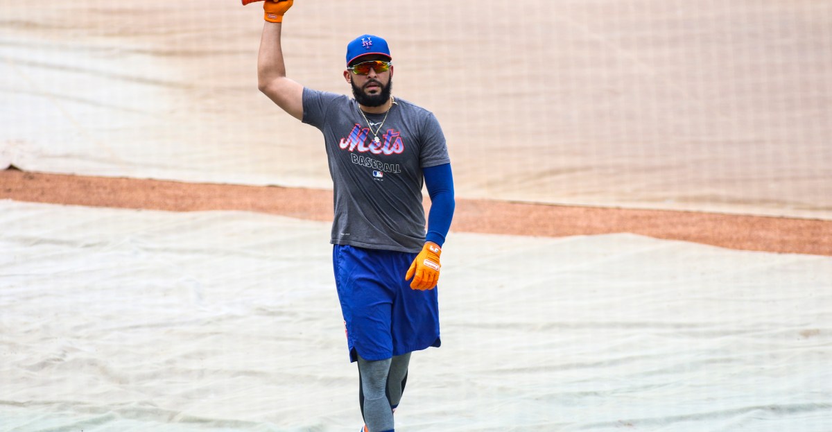 Mets News: Mets sign catcher Ali Sánchez to minor league deal