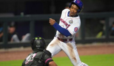 Cubs Minor League Wrap: August 17