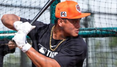 Hao-Yu Lee and the rest of the Detroit Tigers September call-up options