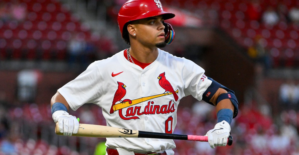 Letting go of hope | Viva El Birdos