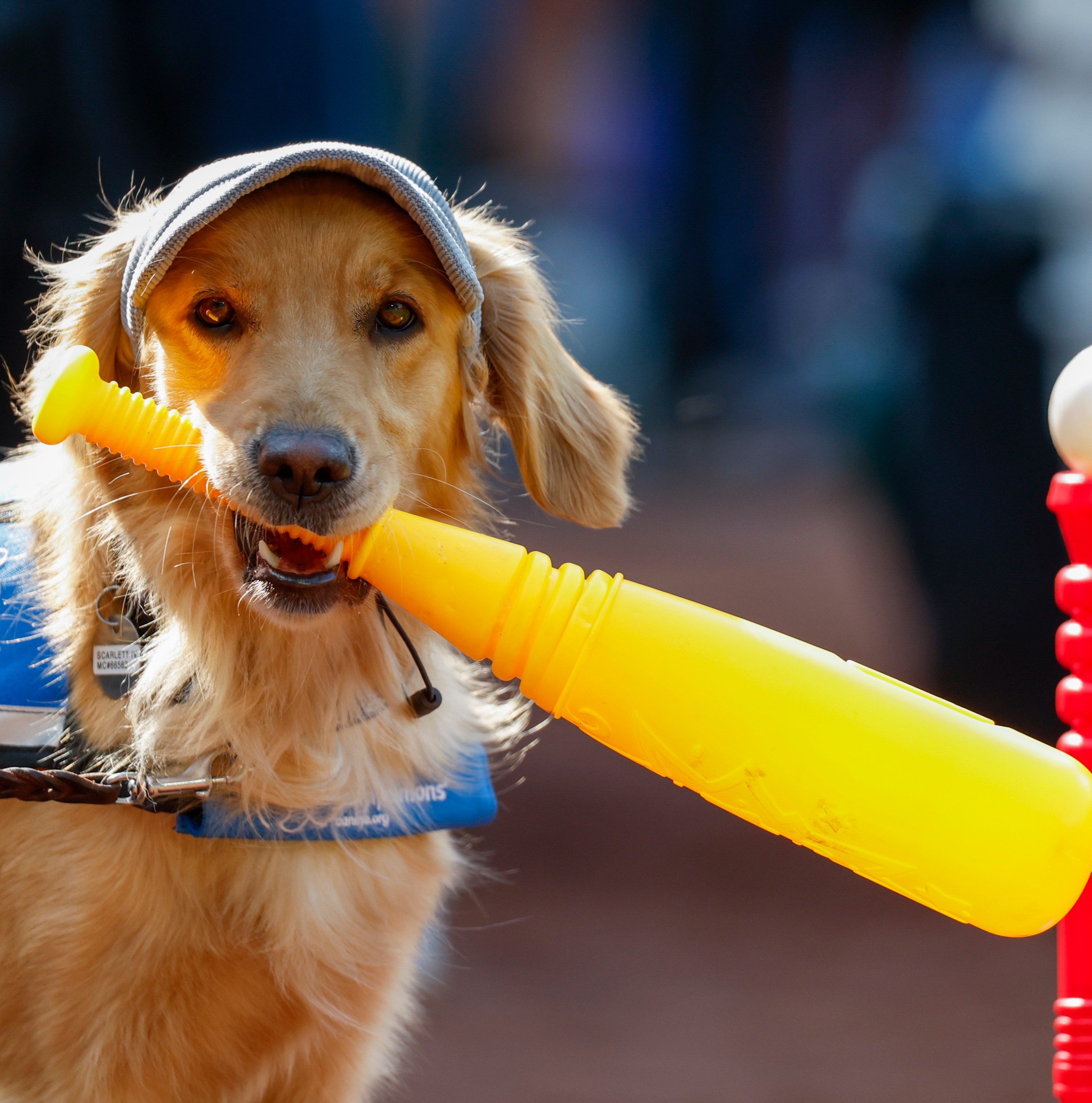 Mariners Game #133: Game Thread Two