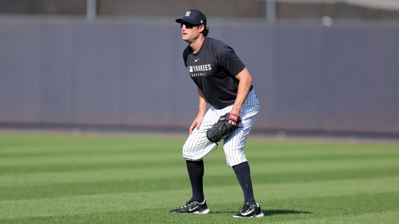 Yankees' Gerrit Cole begins throwing program after TJ surgery