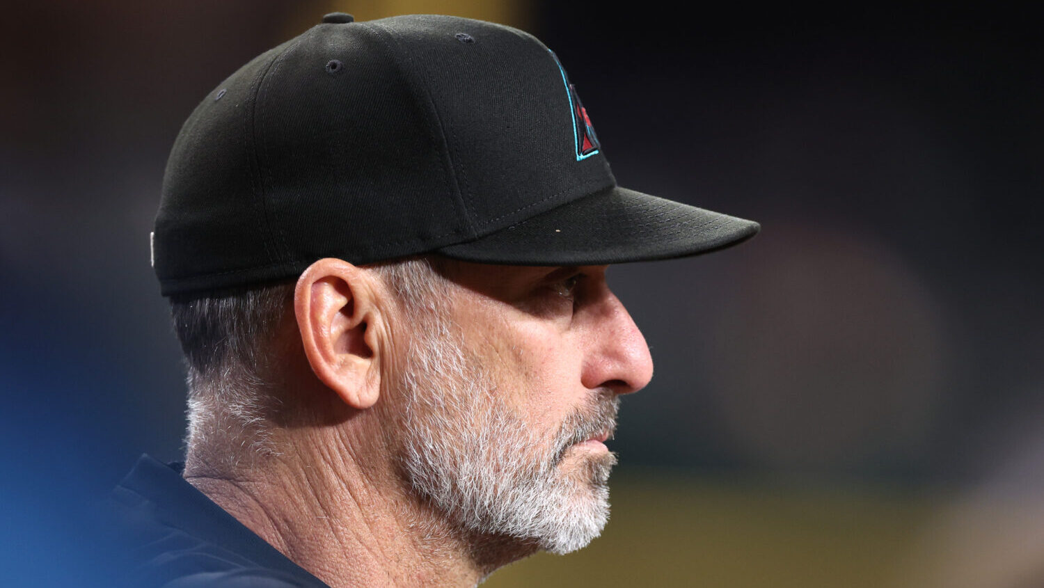 Torey Lovullo fight 2026 Diamondbacks manager...