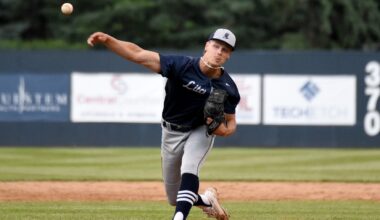 Amateur baseball: Litchfield Blues return to state with confidence - West Central Tribune