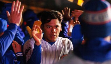 Chicago Cubs Minor League Wrap: August 2