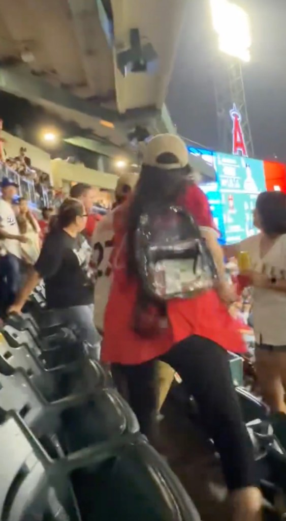 Man in Mike Trout jersey assaulted at baseball game.