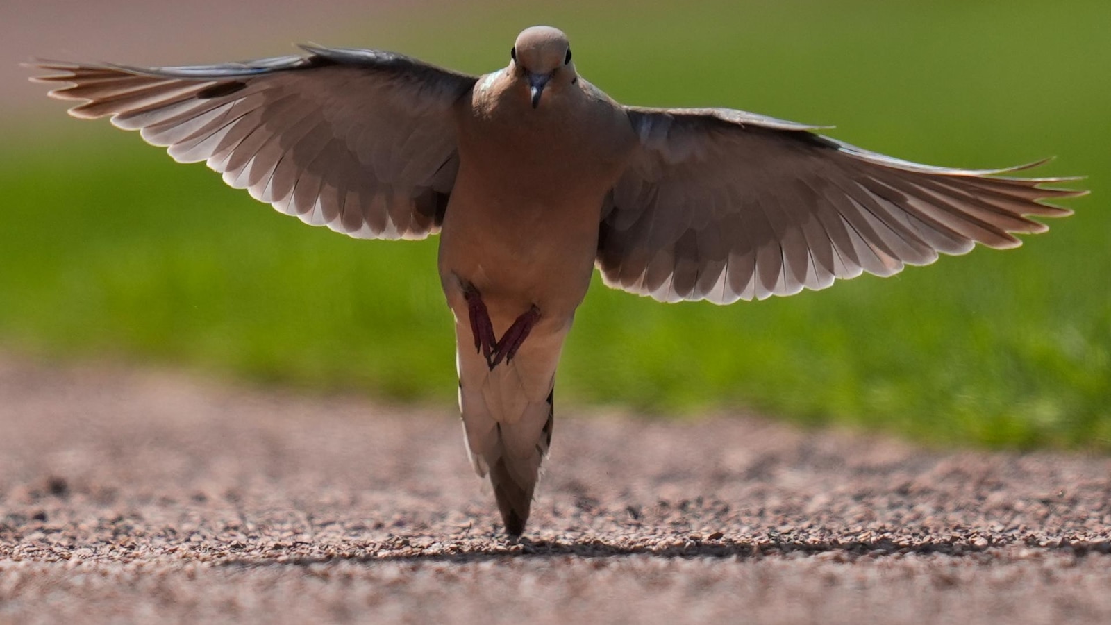 Henderson hits 3-run homer in the 8th in the Orioles' 4-3 victory over the Cubs