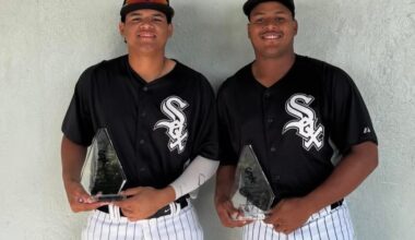 DSL White Sox 2025 Season Review