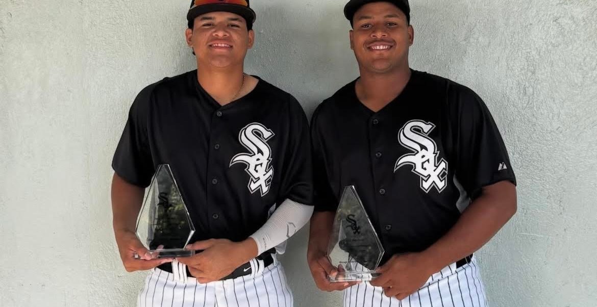 DSL White Sox 2025 Season Review