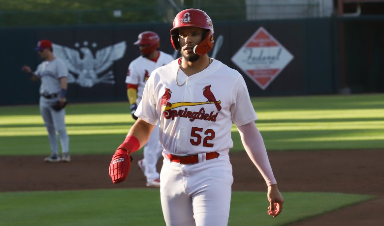 Joshua Baez Springfield Cardinals