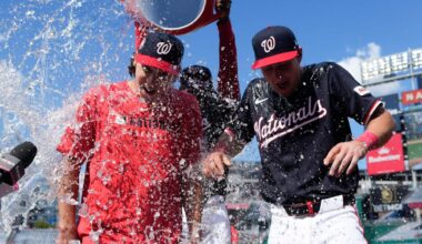 Nationals beat Marlins 2-0 to stop eight-game losing streak