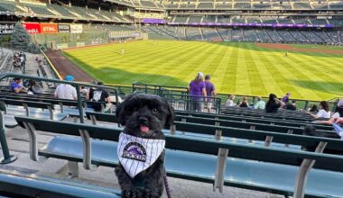 ‘Bark At The Park’ Proves A Home Run With Dog-Loving Rockies Fans