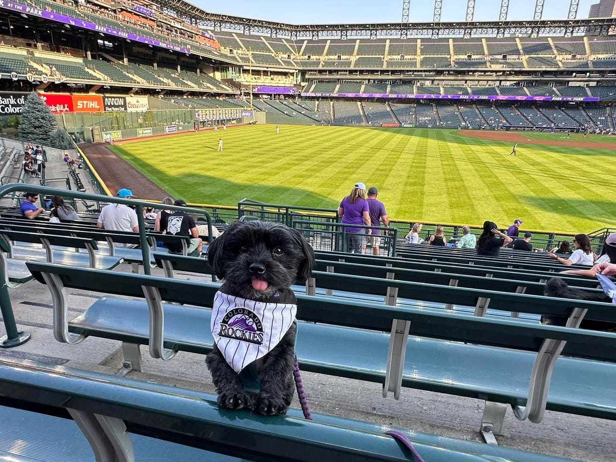 ‘Bark At The Park’ Proves A Home Run With Dog-Loving Rockies Fans