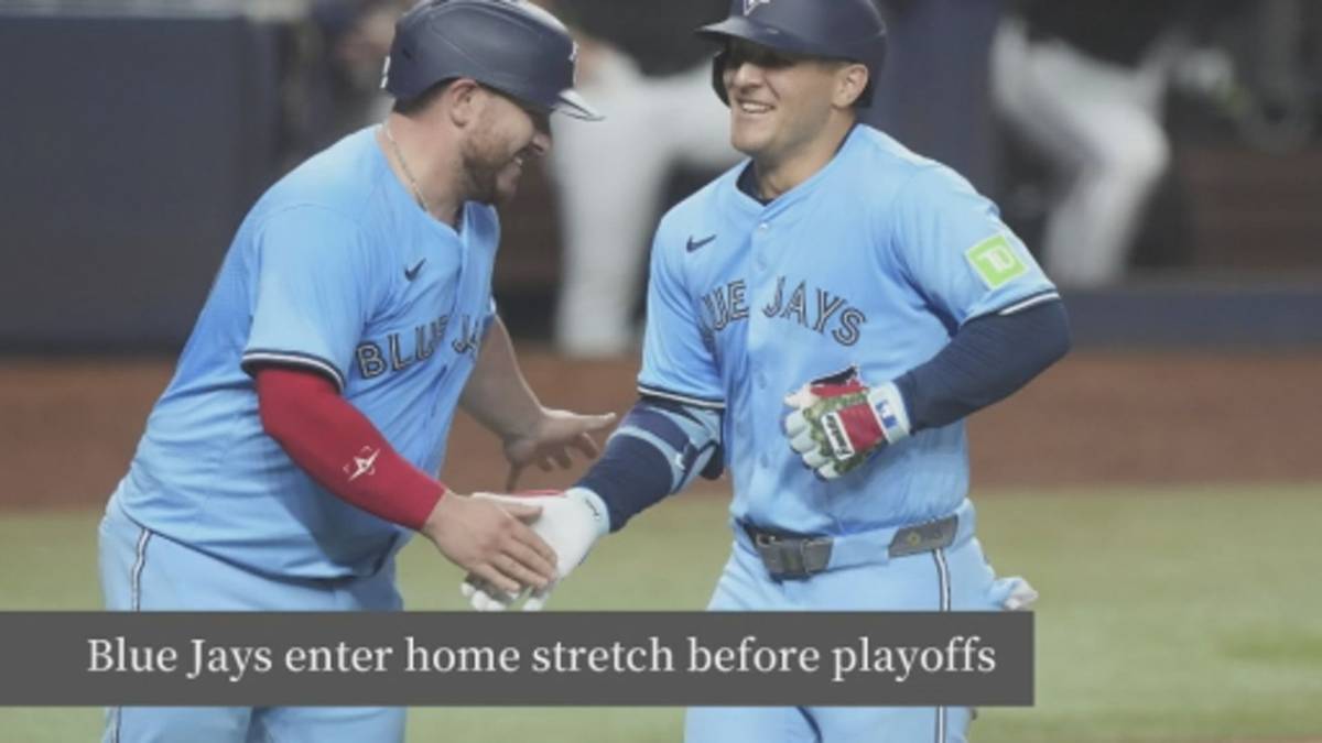 Click to play video: 'Expert says the Blue Jays have a good chance at making the playoffs this year'