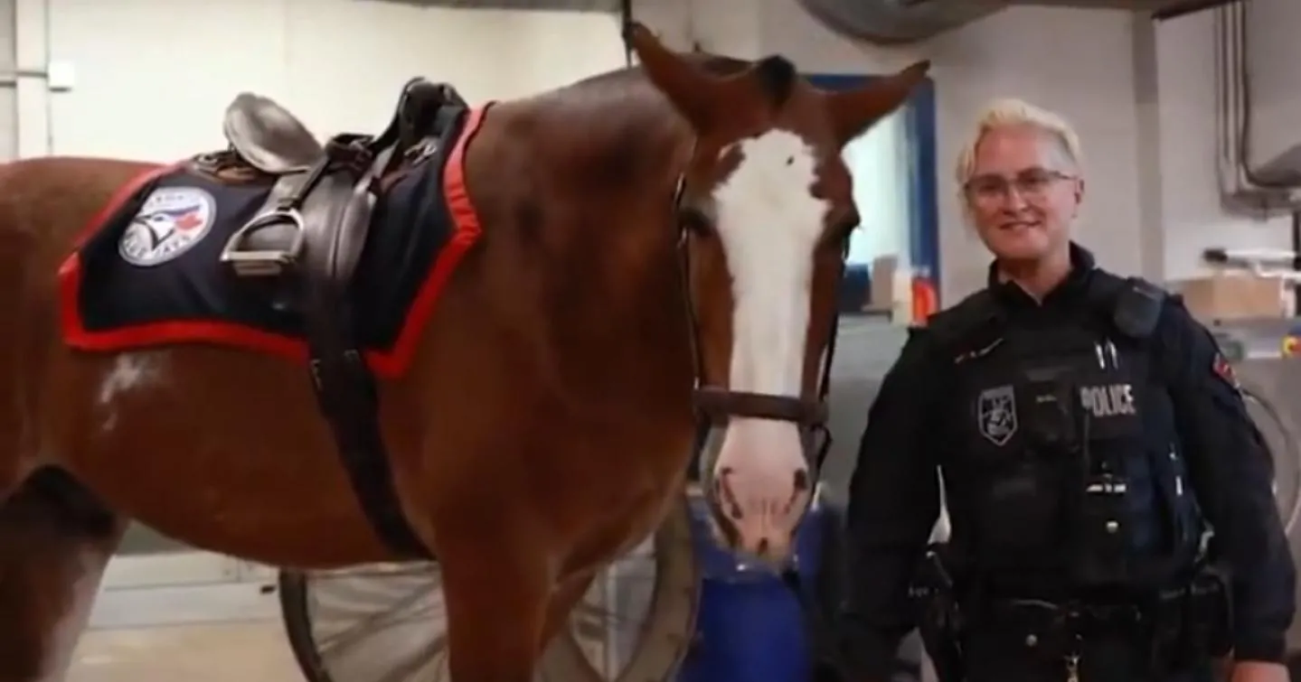 Toronto Police Service holding Blue Jays' George Springer to promise by pledging a horse to ride