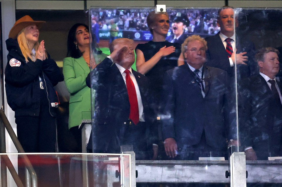 Donald Trump saluting during a baseball game.