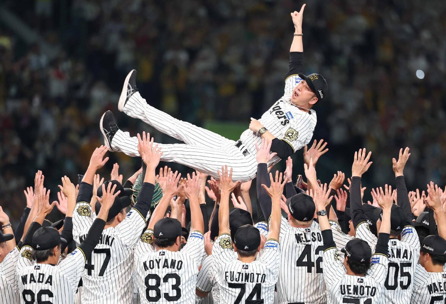 Roaring Tigers had no equal in CL on way to winning pennant in record time