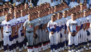 Japanese baseball grapples with shrinking player base