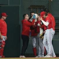 Angels Ward carted off after colliding with scoreboard | National News