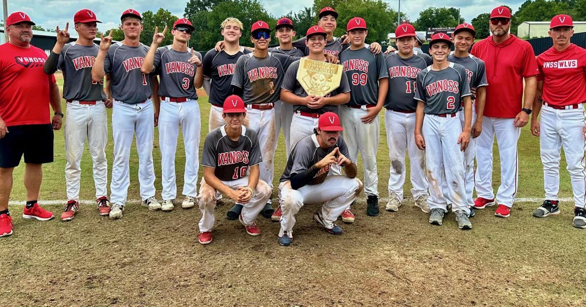 Late night, big finish for Vanoss Wolves | Sports