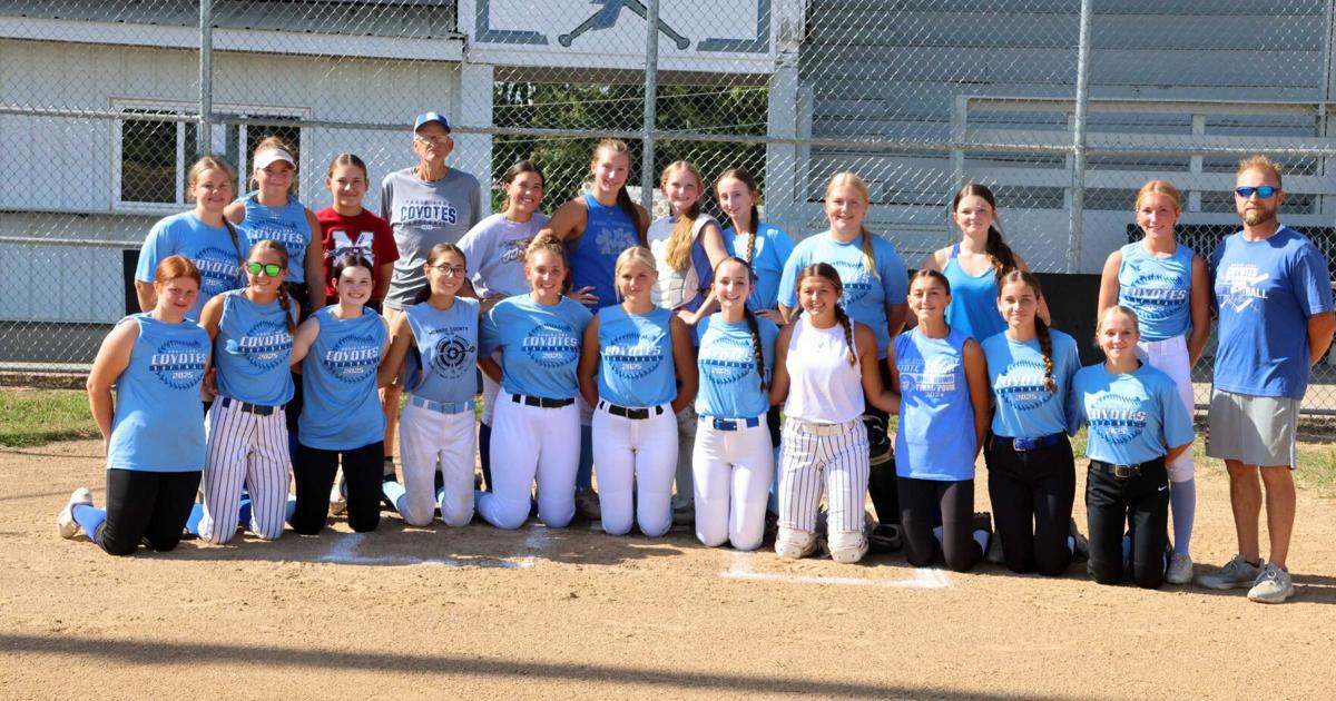 Fresh off a historic season, Paris softball targeting return trip to state | Sports