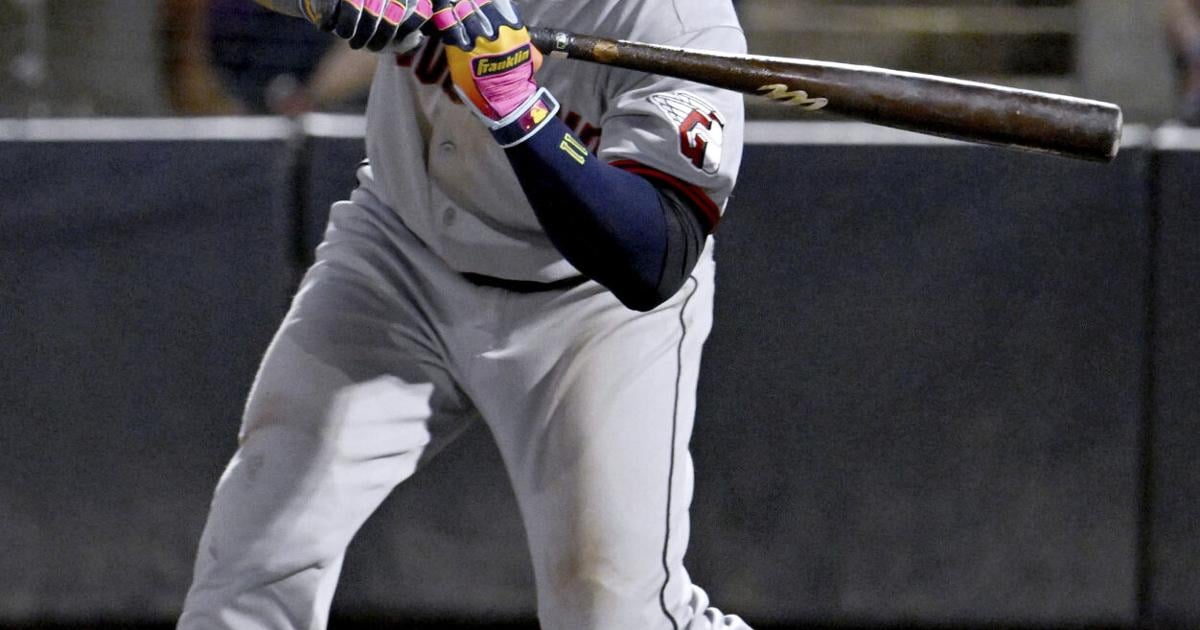 Guardians Rays Baseball - New Castle News