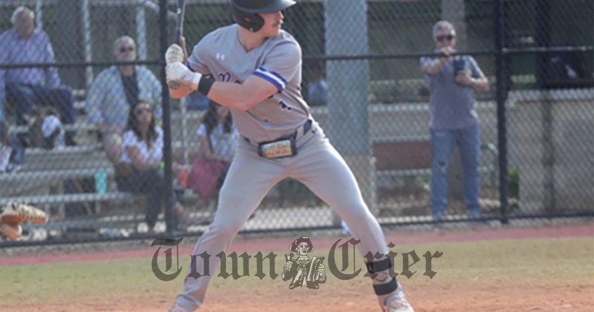 Metzdorf offering baseball hitting lessons | Sports