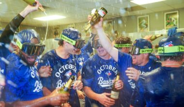 What to know about MLB playoff format, from wild cards to tiebreakers