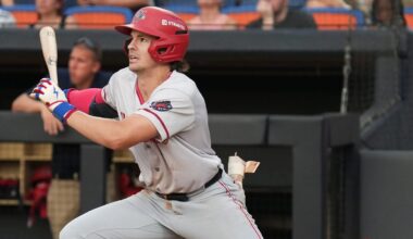 Washington Nationals minor league hitter of the year, stats