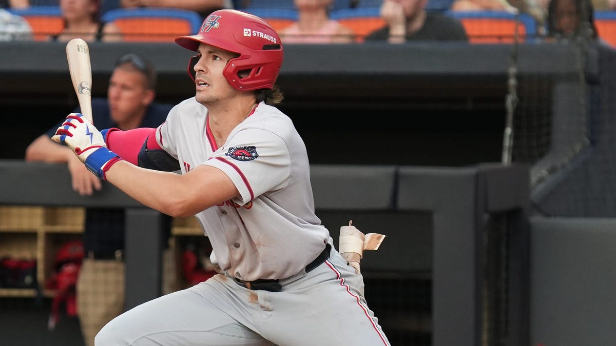 Washington Nationals minor league hitter of the year, stats