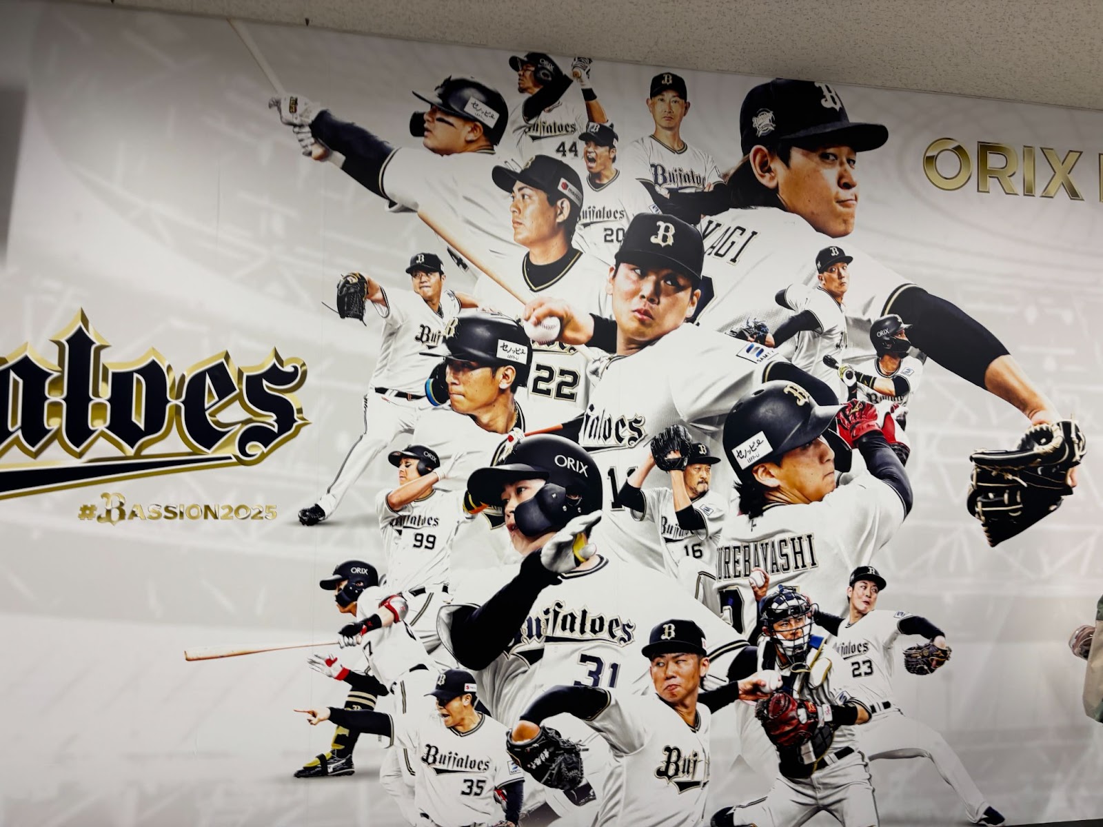 AD_4nXe1efS4qSyJdxsItgQkQ825U62PAXon2xEPjVqGtTJvsjLgZKGVVbH8KJ8cDV_jlTJqgVu3_51-wZK_GjAV5jHRfddPrSNOqn9ZU4YwfTEAQNSP3SDm3bX-I5TAJDpsT7oM2El1?key=M3w4Fl_L3nYAPZucNLUAoQ