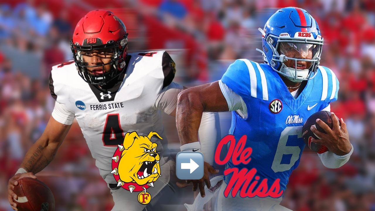 Trinidad Chambliss highlights: All 18 TDs in Ferris State's DII football title run