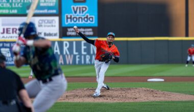 Yankees promote pitcher Elmer Rodriguez-Cruz to Triple-A